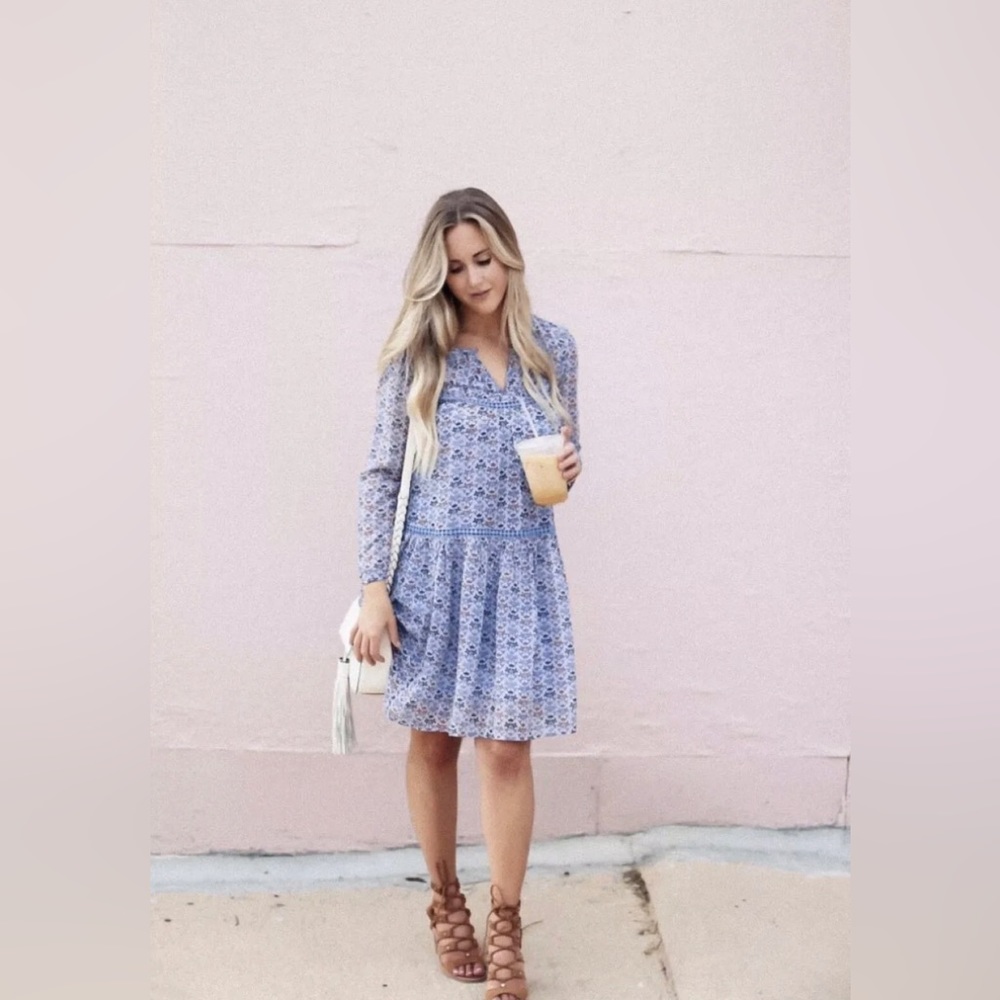 Anthropologie Betony Swing Dress By Holding Horses Floral Size 4